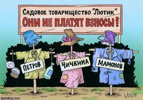 Не оплатили взносы Не оплатили взносы